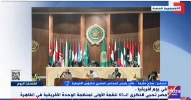 السفير صلاح حليمة: مصر لها دور محوري في إنشاء منظمة الوحدة الأفريقية   حصري على لحظات
